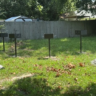 Community photo